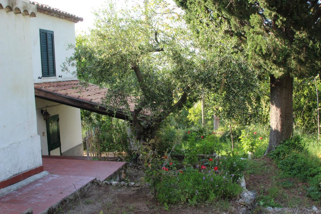 Tenuta Conte Ruggero 산타도메니카 객실 사진